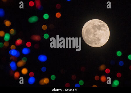 Chicago, USA.  31 December 2017.    The full moon is seen in the sky behind the lights on Millennium Park's Christmas tree ahead of the supermoon on New Year's Day when the moon will be at its closest point, the perigee, to Earth during its monthly orbit appearing 30% brighter and 14% larger.  January 2018 will see a supermoon both on 1 January and 31 January.  Credit: Stephen Chung / Ģ����ý Live News Stock Photo