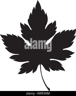 Maple silhouette, Vector illustration Stock Vector