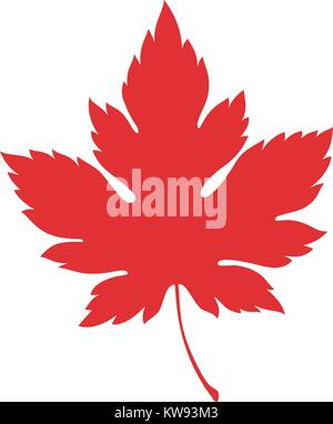 Maple silhouette, Vector illustration Stock Vector