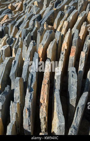 Building a rock rack garden in the city Stock Photo - Alamy