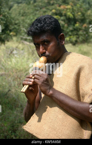 TIRUNELVELI, TAMIL NADU, INDIA,  FEBRUARY 28, 2009: Indian man blows whistle to attract snakes on February 28, 2009 in Tamil Nadu, South India. Snakes Stock Photo