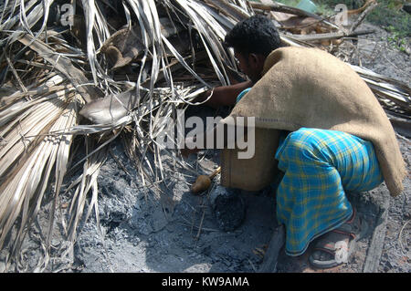 TIRUNELVELI, TAMIL NADU, INDIA,  FEBRUARY 28, 2009: Snake catcher reaches under the leaves for a snake on February 28, 2009 in Tamil Nadu, South India Stock Photo