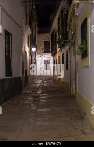 Narrow alley in Cordoba. Spain. Stock Photo