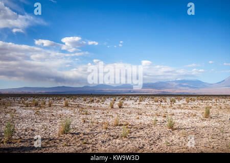 Wild desert landscape in San Pedro de Atacama, Chile Stock Photo