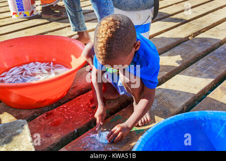 Small local boy descaling a freshly caught fish on the pier at Santa Maria, Sal Island, Salina, Cape Verde, Africa Stock Photo