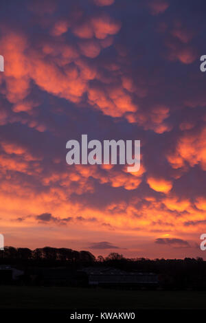 Barnard Castle, Teesdale, County Durham, UK.  Tuesday 2nd January 2018. UK Weather.  With a Met Office weather warning in force for strong winds from Storm, Eleanor, in parts of Ireland, Scotland and Northern England, rare Mammatus clouds form at dawn over Northeast England.  Credit: David Forster/Alamy Live News Stock Photo