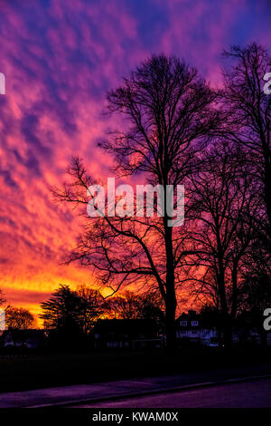 Northampton, UK. 2nd Jan, 2018. UK Weather. Spectacular Sky just before dawn over Abington park this morning with stunning colours. Credit: Keith J Smith./Alamy Live News Stock Photo