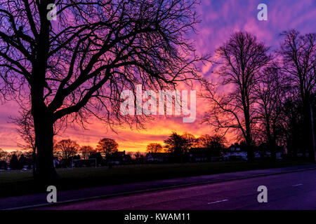 Northampton, UK. 2nd Jan, 2018. UK Weather. Spectacular Sky just before dawn over Abington park this morning with stunning colours. Credit: Keith J Smith./Alamy Live News Stock Photo