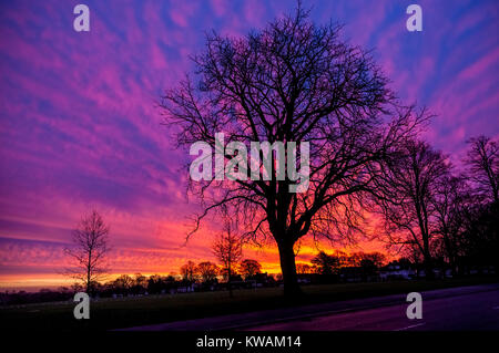 Northampton, UK. 2nd Jan, 2018. UK Weather. Spectacular Sky just before dawn over Abington park this morning with stunning colours. Credit: Keith J Smith./Alamy Live News Stock Photo