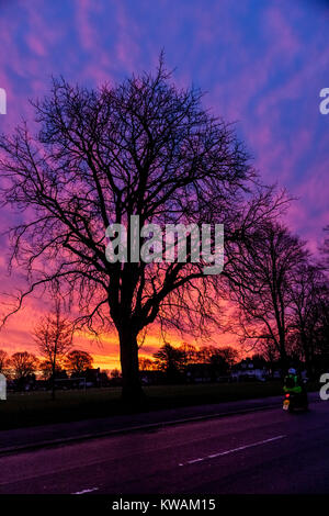 Northampton, UK. 2nd Jan, 2018. UK Weather. Spectacular Sky just before dawn over Abington park this morning with stunning colours. Credit: Keith J Smith./Alamy Live News Stock Photo