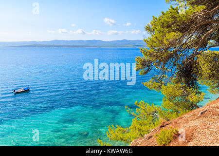 Pine trees and green plants on sea coast with view of famous Zlatni Rat beach in Bol town, Brac island, Croatia Stock Photo