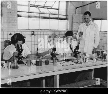 College students and instructors do war work in food processing plant laboratories during the summer, 1939. Stock Photo