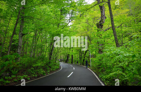 People walking on road at Oirase Gorge in Aomori Prefecture, Japan. Stock Photo