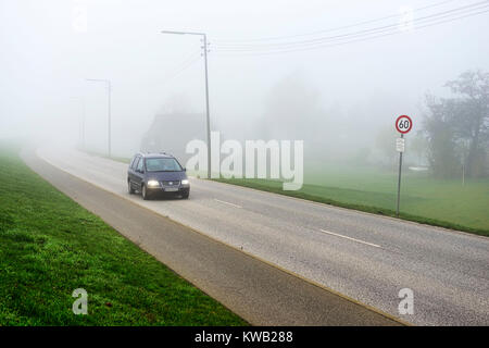 Misty Deichstrasse in Kirchwerder, Hamburg, Germany, Europe, Neblige Deichstra?e in Kirchwerder, Deutschland, Europa, Neblige Deichstrasse in Kirchwer Stock Photo