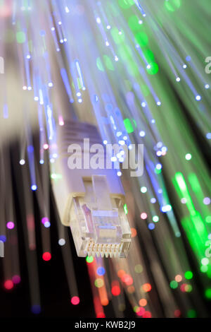 LAN and optical fiber cable - close up studio shot Stock Photo