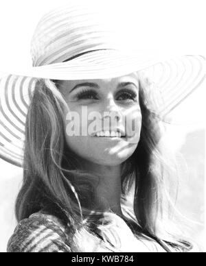 C.C. AND COMPANY, Ann-Margret, 1970 Stock Photo - Alamy