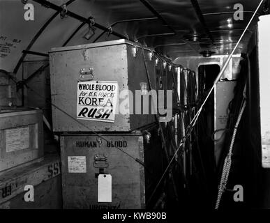 Air shipments of whole blood from American Red Cross for Korean War casualties. It will be stored in Yokohoma, for shipment to Korea as needed. Korean War, 1950-53. (BSLOC 2014 11 205) Stock Photo