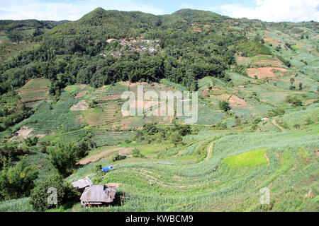Sugar cane and tea plantations in valley. Yunnan, China Stock Photo