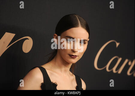 NEW YORK, NY - NOVEMBER 12: Rooney Mara attends The Maison Cartier Celebrates 100th Anniversary Of Their Emblem La Panthere De Cartier! at Skylight Clarkson Studios on November 12, 2014 in New York City.   People:  Rooney Mara Stock Photo