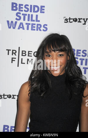 NEW YORK, NY - NOVEMBER 09:  Nikki M James  attends the 'Beside Still Waters' New York Premiere at the Sunshine Landmark Theatre on November 9, 2014 in New York City.   People:  Nikki M James Stock Photo