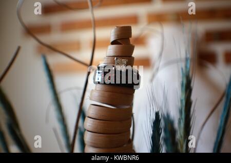 Wedding Rings on Plant Stock Photo