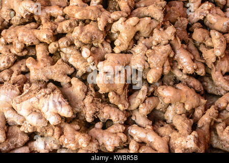 photo of raw material of ginger Stock Photo