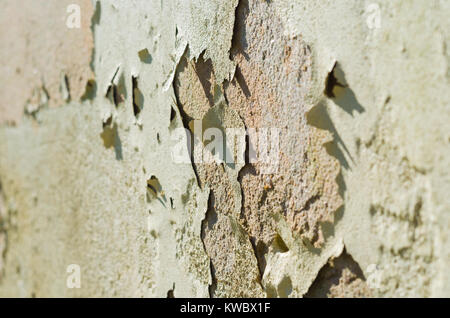 Wall with peeling paint, paint problem. Inadequate paint system, water infiltration. Stock Photo