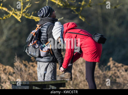 Woman stopping to tie walking boot shoe laces up after coming untied. Stock Photo
