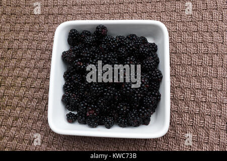 Blackberries in a square white bowl on woven background. Space for copy. Stock Photo