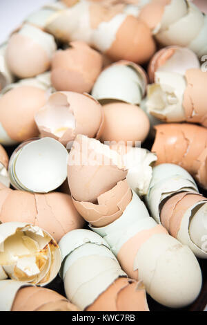 Close Up of Many Broken Eggshells Drying of Various Colors Stock Photo