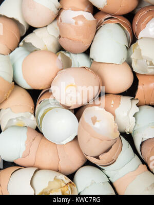 Close Up of Many Broken Eggshells Drying of Various Colors Stock Photo