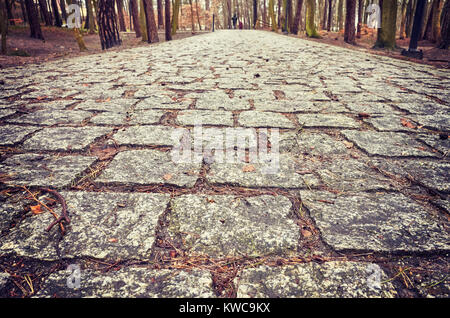 Cobblestone path in a park, close up color toned picture, shallow depth of field. Stock Photo