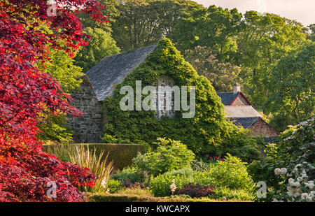 Lanhydrock, Bodmin, Cornwall, UK. The gardens in summer Stock Photo