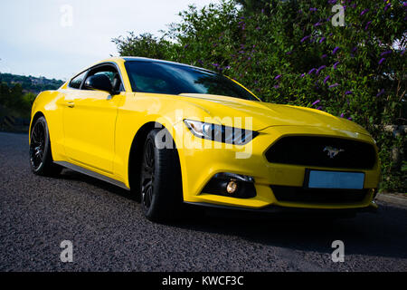 2017 Ford Mustang Stock Photo