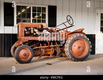 1950'S B.F. AVERY ALL ORIGINAL TRACTOR WITH CULTIVATORS Stock Photo