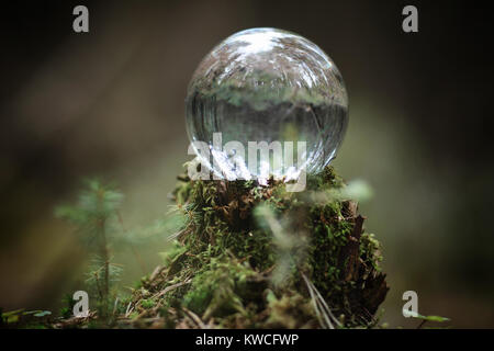 Crystal ball. Magical accessory in the woods on the stump. Ritual ball of witches and sorcerers on an old rotten stump covered with moss. Stock Photo