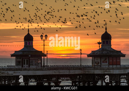 Sunset over pier with starlings flocking Stock Photo