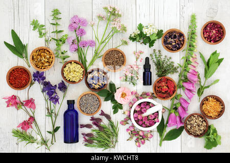 Natural herbal medicine selection with herbs and flowers in wooden bowls and loose, glass aromatherapy essential oil bottles and mortar with pestle. Stock Photo