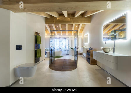 luxury bathroom with shower and wood ceiling Stock Photo