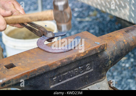 A FARRIER MAKING A CUSTOM FIT HORSESHOE, DELAWARE, USA - MAY 2008. A farrier is a specialist in equine hoof care, including the trimming and balancing Stock Photo