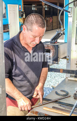 A FARRIER MAKING A CUSTOM FIT HORSESHOE, DELAWARE, USA - MAY 2008. A farrier is a specialist in equine hoof care, including the trimming and balancing Stock Photo