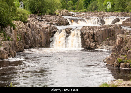 Low Force waterfalls,England,UK Stock Photo