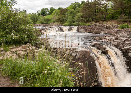 Low Force waterfalls,England,UK Stock Photo