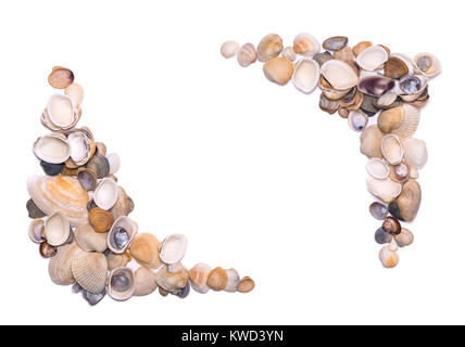 A pile of scattered sea shells are isolated on a white background. Frame of corners from seashells Stock Photo