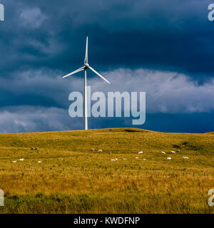 Wind turbines of the Cezallier windfarm. Puy de Dome. Auvergne. France Stock Photo