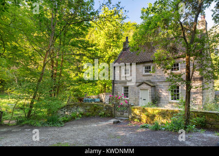 Midge Hall and Falling Foss Tes Garden in Sneaton Forest nr Whitby, May 2015. Stock Photo