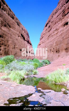 Walpa Gorge, The Olgas, Kata Tjuta National Park, Northern Territory, Australia. Stock Photo