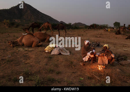 Scene at Pushkar Camel Fair, men talking, warming up, sitting around fireplace at the end of trading day, camel silhouette in back, Rajasthan, India Stock Photo