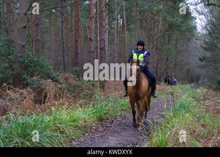 Women riding horses through Broxbourne Woods on public footpath, UK, Winter Stock Photo