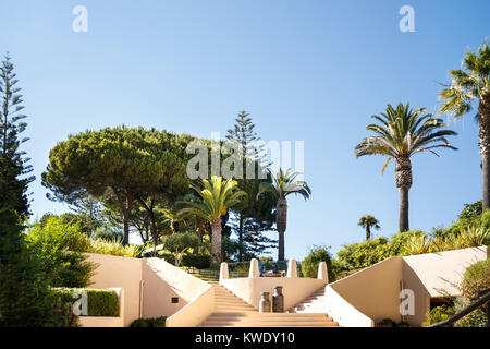 Stone stairs leading up, green plants, trees and palms. Stock Photo